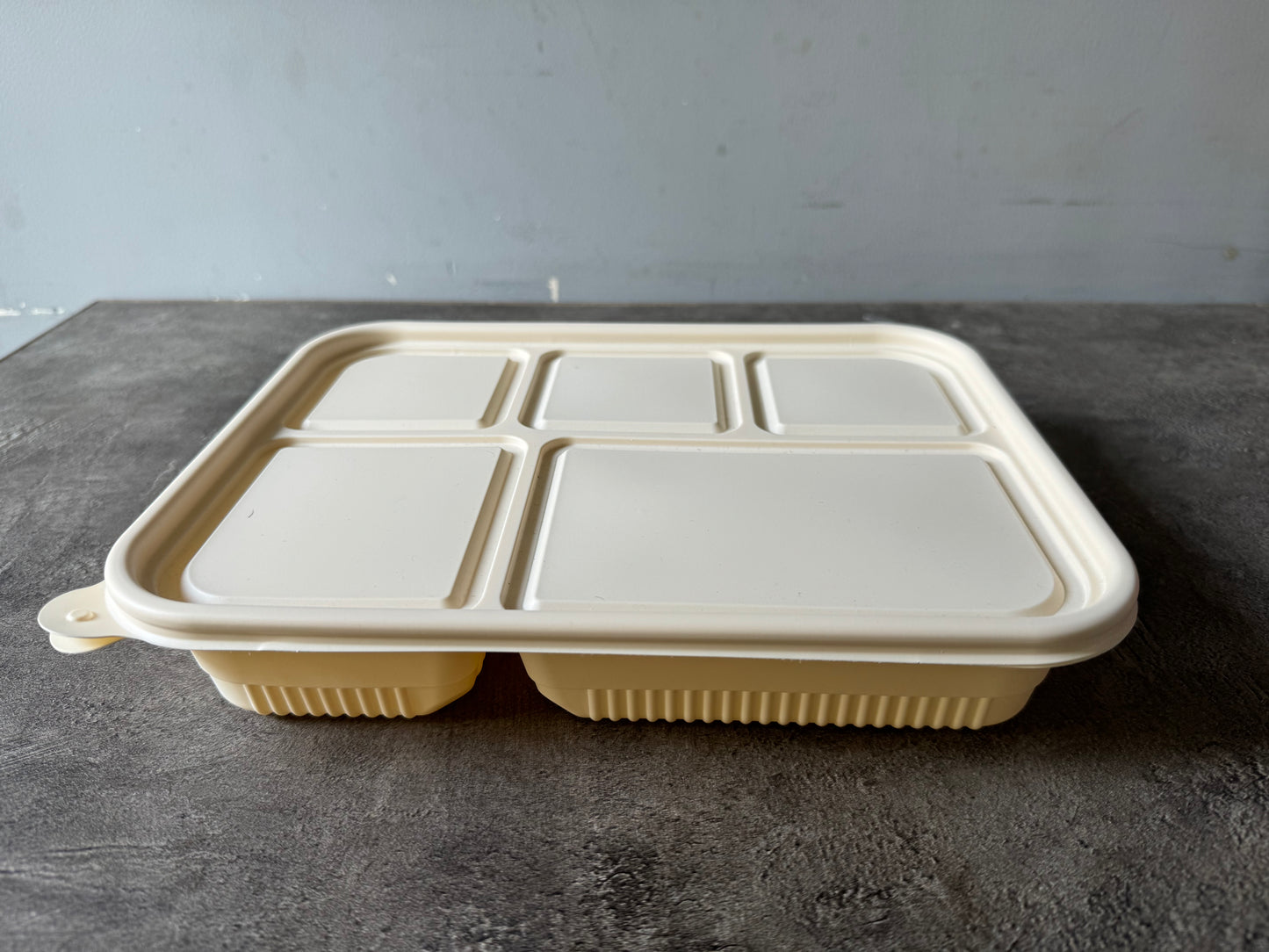 DHRUYU 5-Compartment Corn-Starch Tray | 100% Compostable & Eco-Friendly | Leak-Proof Design | Best Alternative to Plastic | Pack of 100