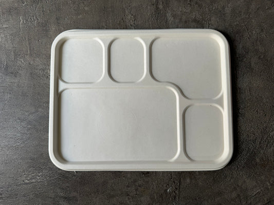 Dhruyu  5-Compartment Bagasse Tray | 100% Compostable & Eco-Friendly | Perfect for Meals & Snacks | Pack of 195